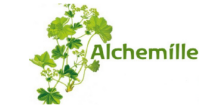 alchemille