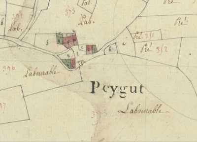 peygut