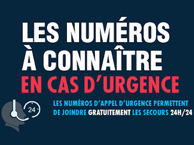 Cliquer pour plus d'informations feline1